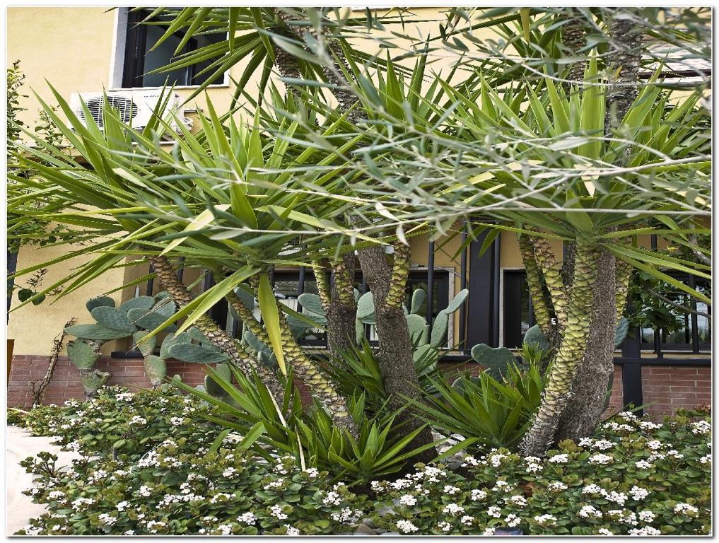 Hotel Veronese Cerignola Bagian luar foto